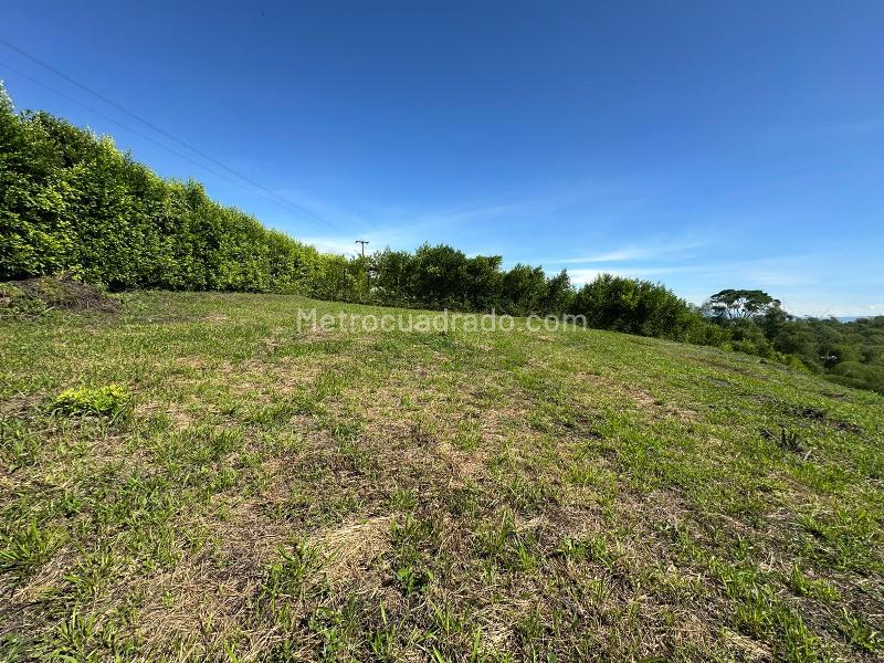 Lote en Venta, Via Alcala, Pereira - Vista 3