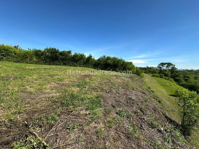 Lote en Venta, Via Alcala, Pereira - Vista 5