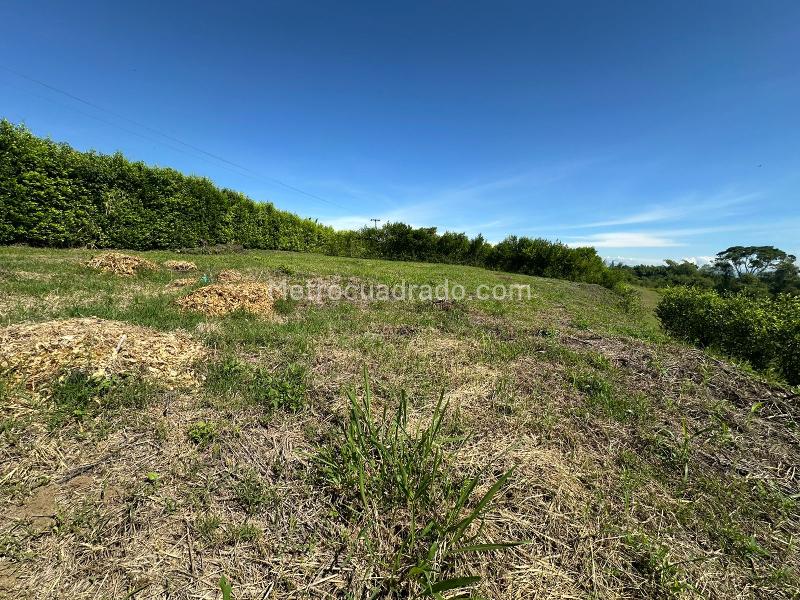Lote en Venta, Via Alcala, Pereira - Más