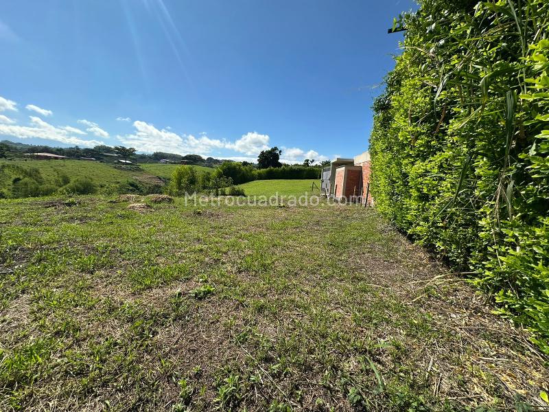 Lote en Venta, Via Alcala, Pereira - Vista 2