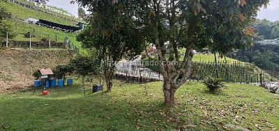 Casa de 3 alcobas en venta en San Marcel, Manizales, 140 m² · foto 12 de 20