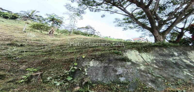 Lote en Venta, Vereda La Trinidad, Manizales - Vista 2