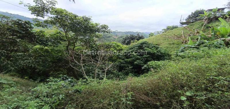 Lote en Venta, Vereda La Trinidad, Manizales - Vista 3