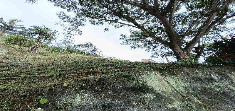 Lote en Venta, Vereda La Trinidad, Manizales - Vista 5