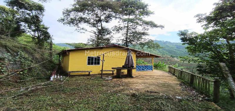 Lote en Venta, Vereda La Trinidad, Manizales - Más