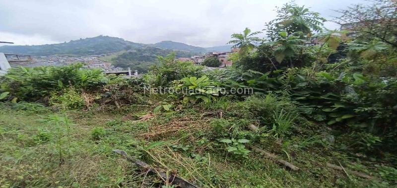 Lote en Venta, Los Cedros, Manizales - Vista 4
