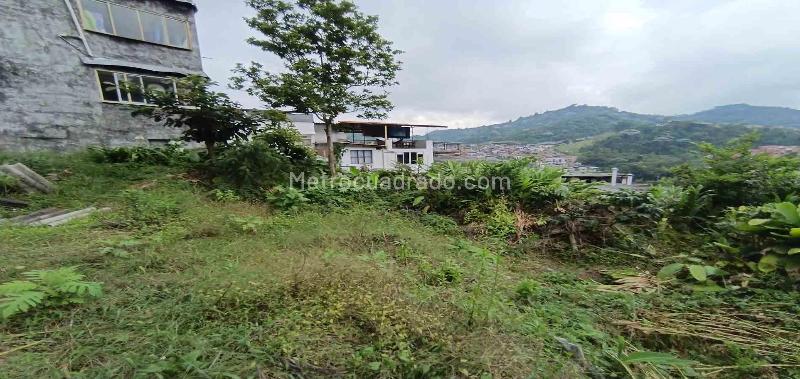 Lote en Venta, Los Cedros, Manizales - Vista 5