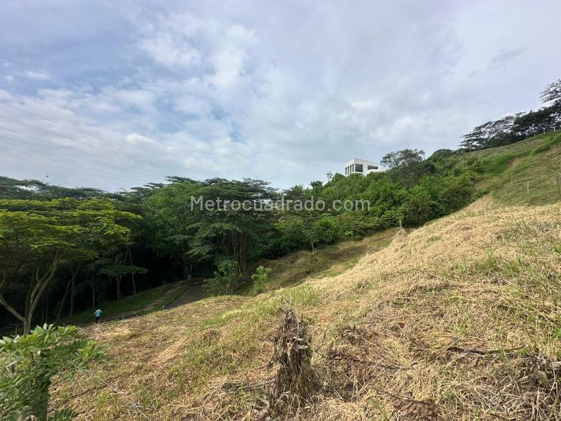 Lote en Venta, Autopista Del Cafe, Manizales - Vista 5