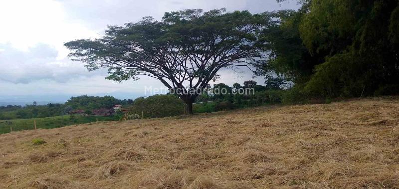 Lote en Venta, Armenia, Armenia - Vista 3