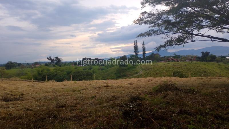 Lote en Venta, Armenia, Armenia - Vista 4
