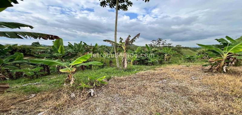 Lote en Venta, Armenia, Armenia - Vista 5