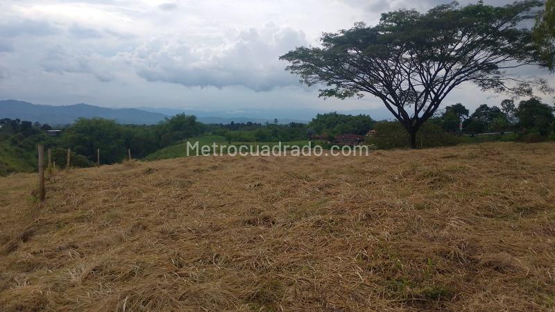 Lote en Venta, Armenia, Armenia - Vista 2