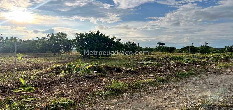 Lote en Venta, Armenia, Armenia - Vista 2