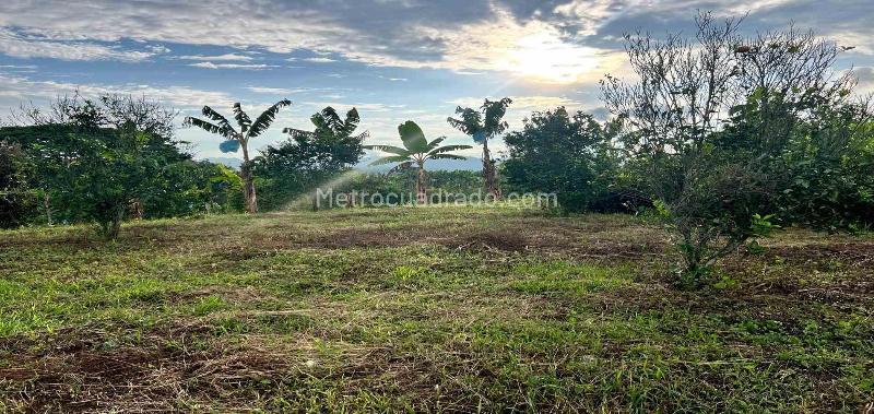 Lote en Venta, Armenia, Armenia - Vista 3