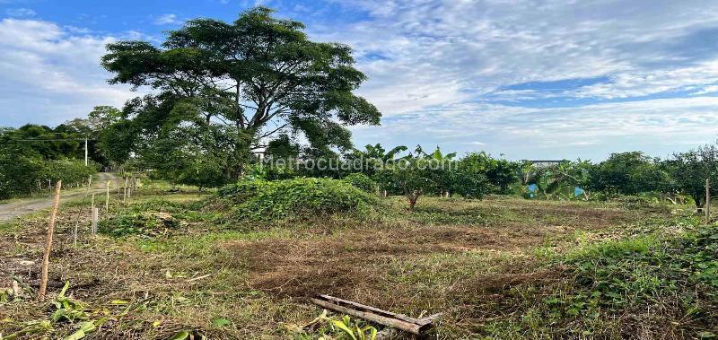 Lote en Venta, Armenia, Armenia - Vista 4