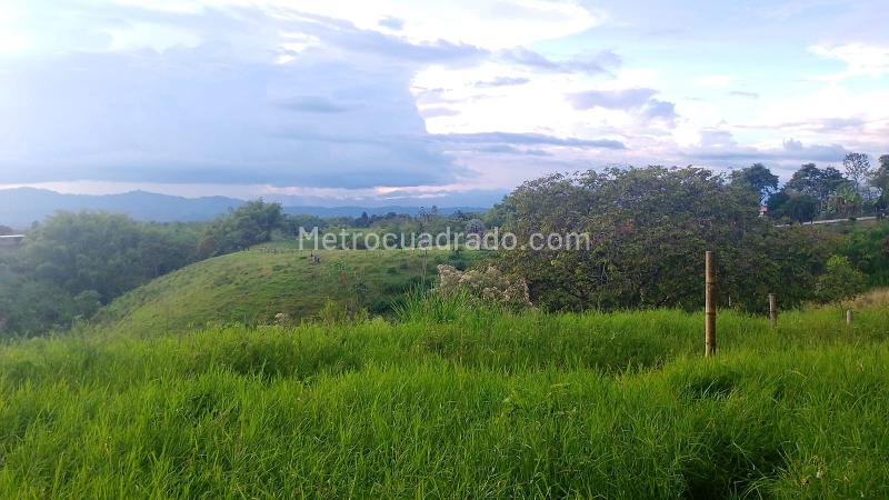 Lote en Venta, Armenia, Armenia - Vista 5
