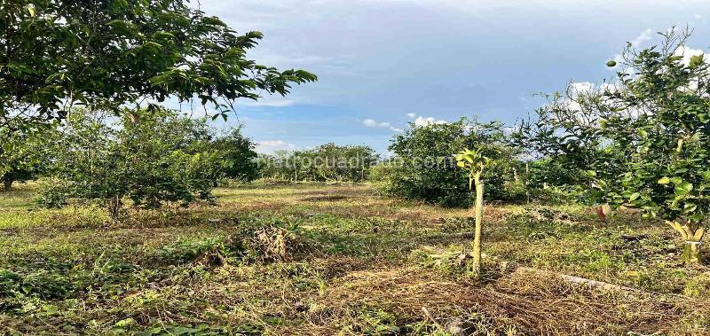 Lote en Venta, Armenia, Armenia - Más