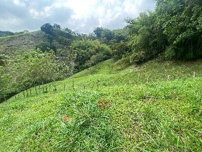 Casa en venta en Combia, Pereira · foto 13 de 20