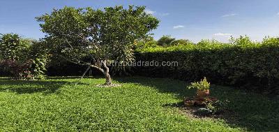 Casa de 3 alcobas en venta en El Caimo, Armenia, 190 m² · foto 14 de 20