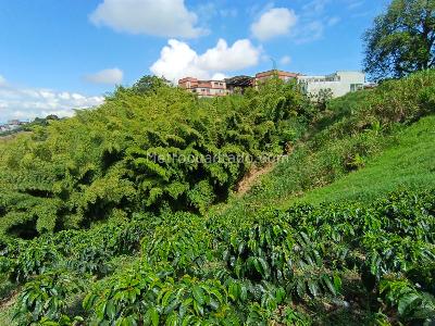 Lote en Venta, Las Pavas, Manizales