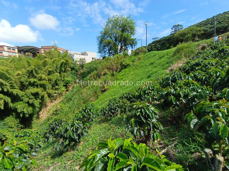Lote en Venta, Las Pavas, Manizales - Vista 3