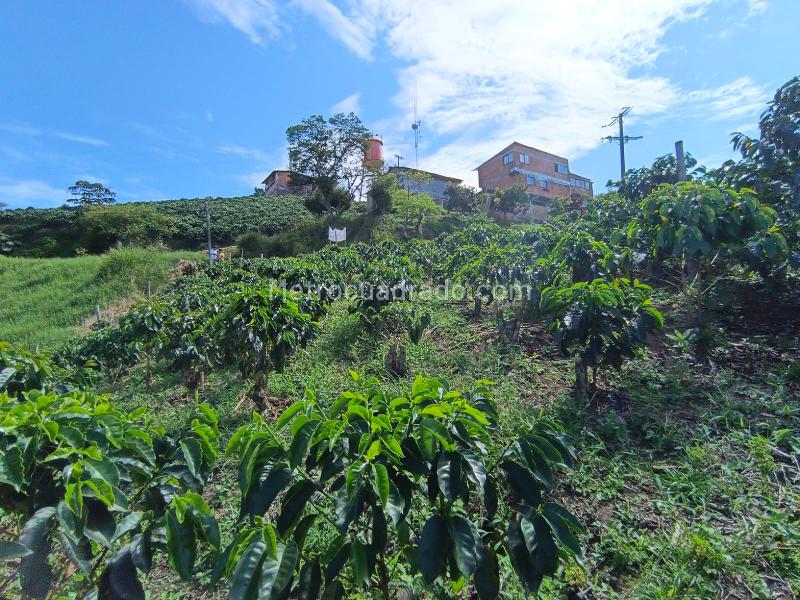 Lote en Venta, Las Pavas, Manizales - Vista 4