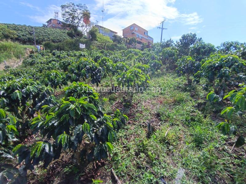 Lote en Venta, Las Pavas, Manizales - Vista 5