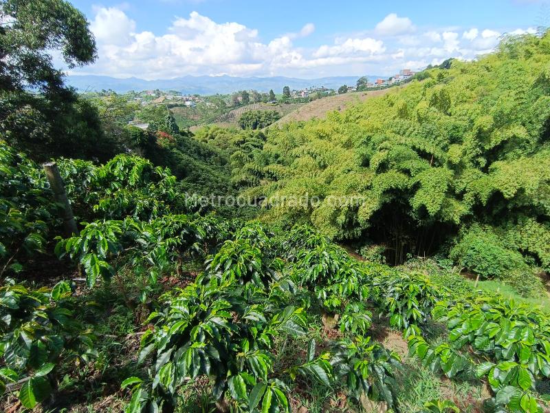 Lote en Venta, Las Pavas, Manizales - Más
