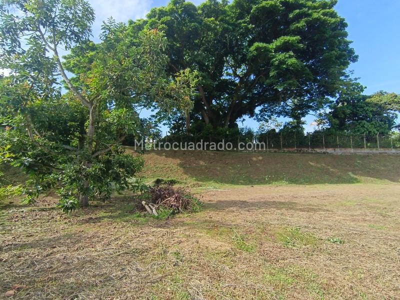 Lote en Venta, La Cabaña, Manizales - Vista 5