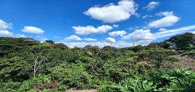 Casa en venta en Pueblito Cafetero, Pereira · foto 5 de 19