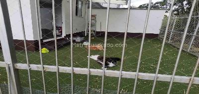 Casa de 4 alcobas en venta en Cr 19 Norte, Armenia, 137 m² · foto 2 de 20