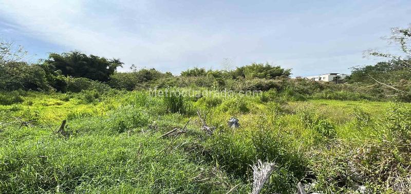 Lote en Venta, Cerritos, Pereira - Vista 3