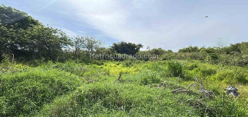 Lote en Venta, Cerritos, Pereira - Vista 4