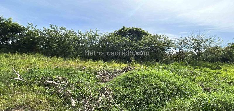 Lote en Venta, Cerritos, Pereira - Vista 5