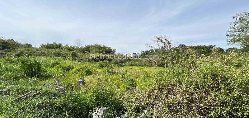 Lote en Venta, Cerritos, Pereira - Más