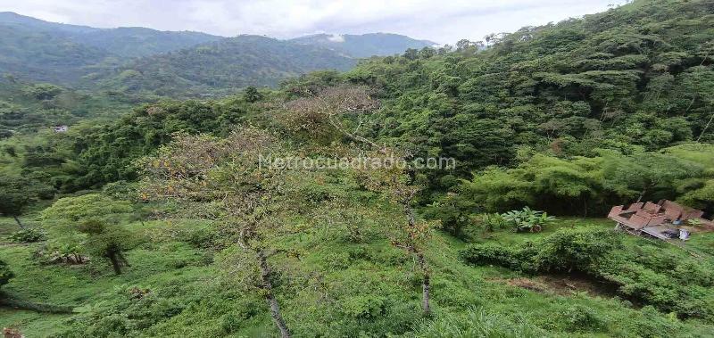 Lote en Venta, Vereda Minitas, Manizales - Vista 2