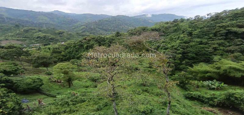 Lote en Venta, Vereda Minitas, Manizales - Vista 3