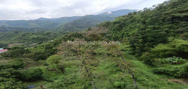 Lote en Venta, Vereda Minitas, Manizales - Vista 4