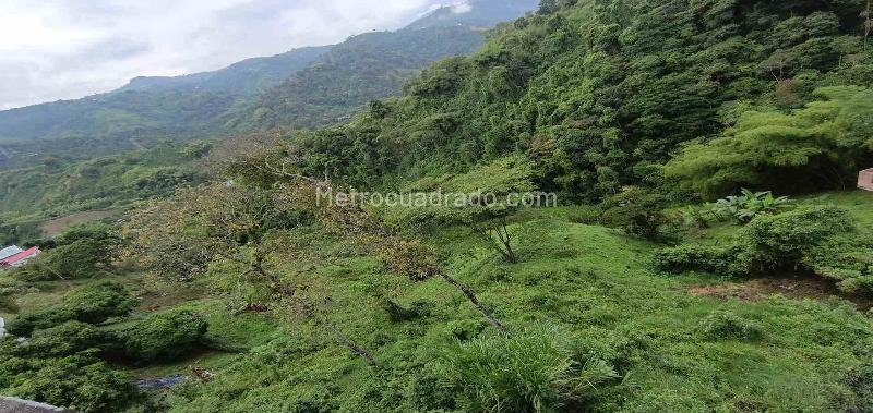 Lote en Venta, Vereda Minitas, Manizales - Más