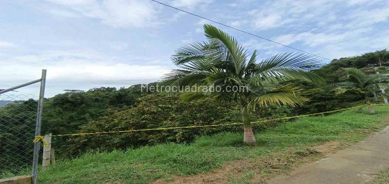 Lote en Venta, Vereda Minitas, Manizales - Vista 2