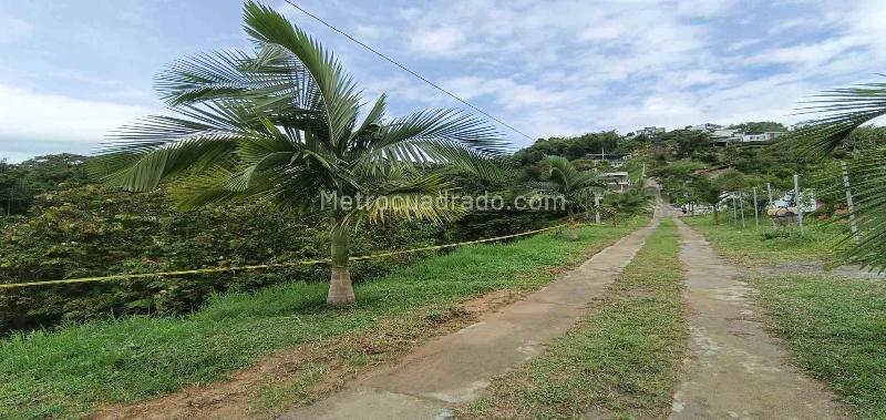 Lote en Venta, Vereda Minitas, Manizales - Vista 3