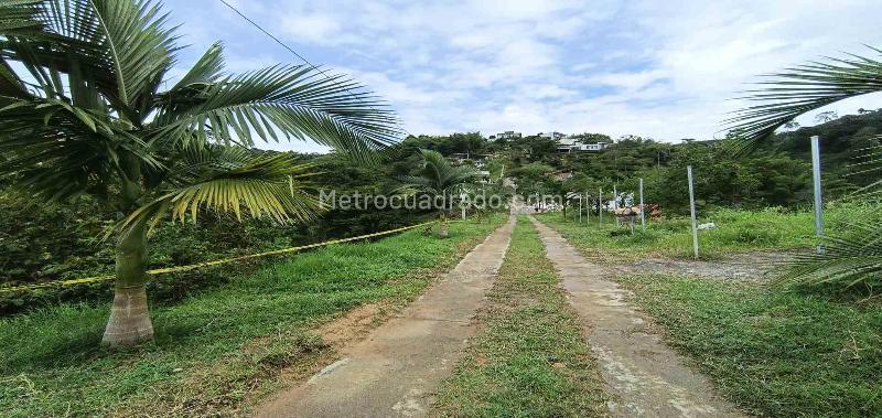 Lote en Venta, Vereda Minitas, Manizales - Vista 4