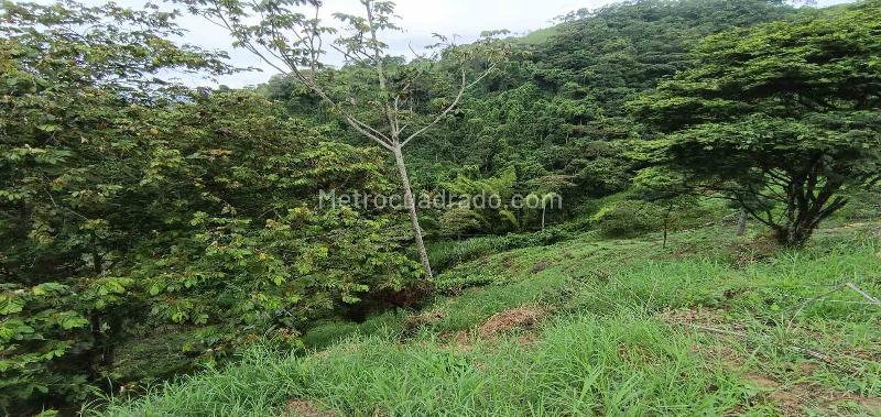 Lote en Venta, Vereda Minitas, Manizales - Más