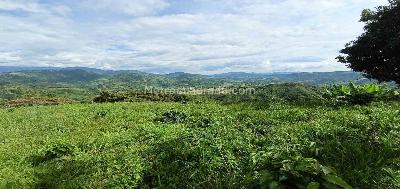Lote en Venta, San Peregrino, Manizales