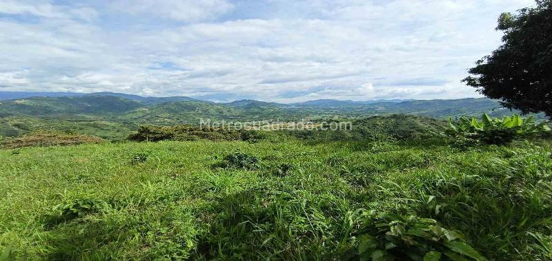 Lote en Venta, San Peregrino, Manizales - Vista 2