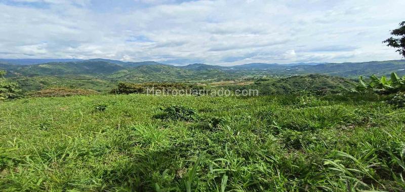 Lote en Venta, San Peregrino, Manizales - Vista 3