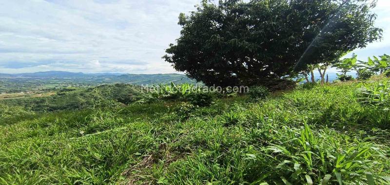 Lote en Venta, San Peregrino, Manizales - Vista 4