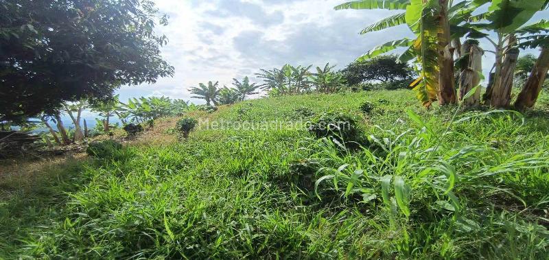 Lote en Venta, San Peregrino, Manizales - Más