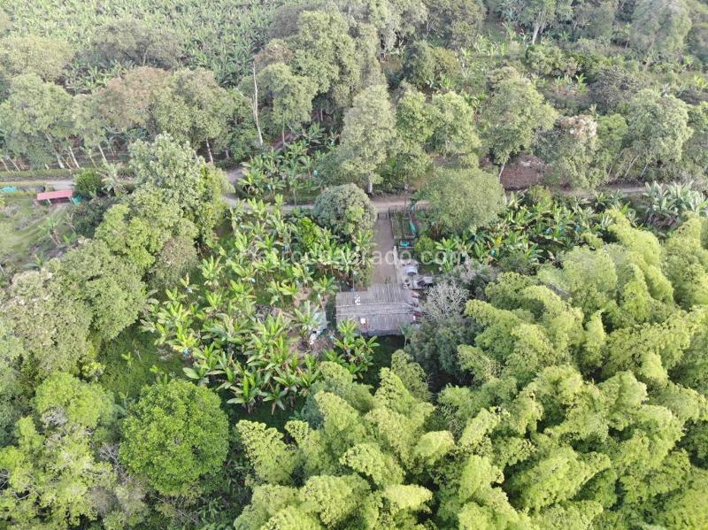 Lote en Venta, Puerto Espejo, Armenia - Vista 3