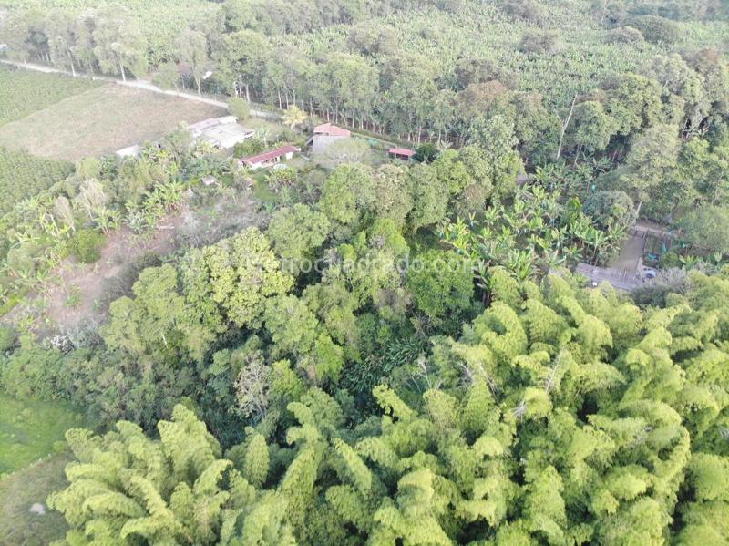 Lote en Venta, Puerto Espejo, Armenia - Vista 4